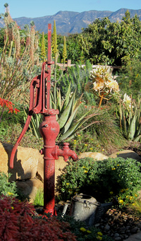 old water pump converted to fountain photo